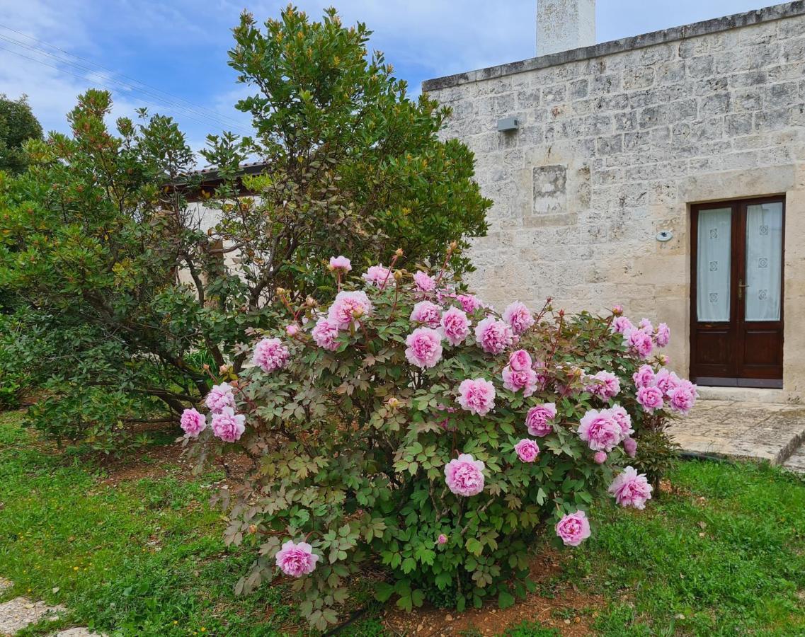Masseria Montecchie سيغلي ميسابيكا المظهر الخارجي الصورة