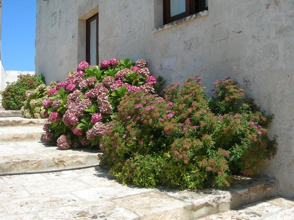 Masseria Montecchie سيغلي ميسابيكا المظهر الخارجي الصورة