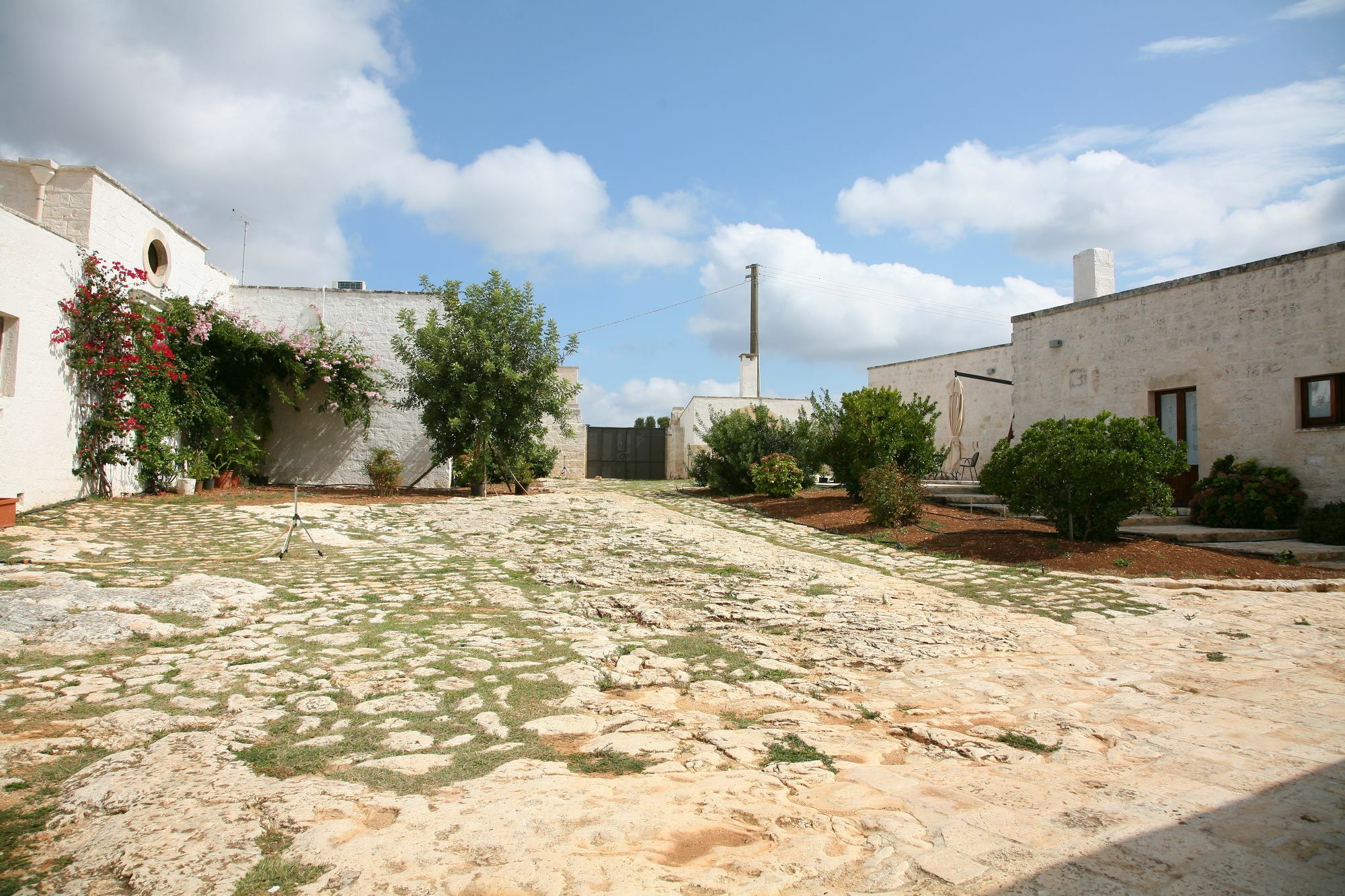 Masseria Montecchie سيغلي ميسابيكا المظهر الخارجي الصورة